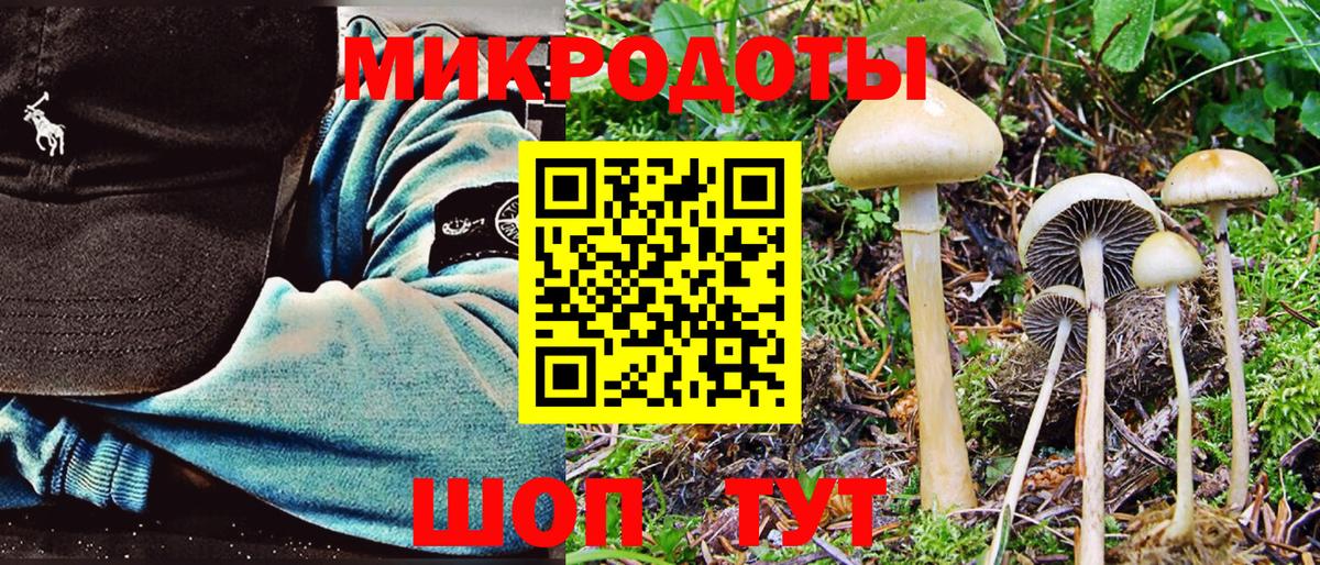 Псилоцибиновые грибы Magic Shrooms Клин